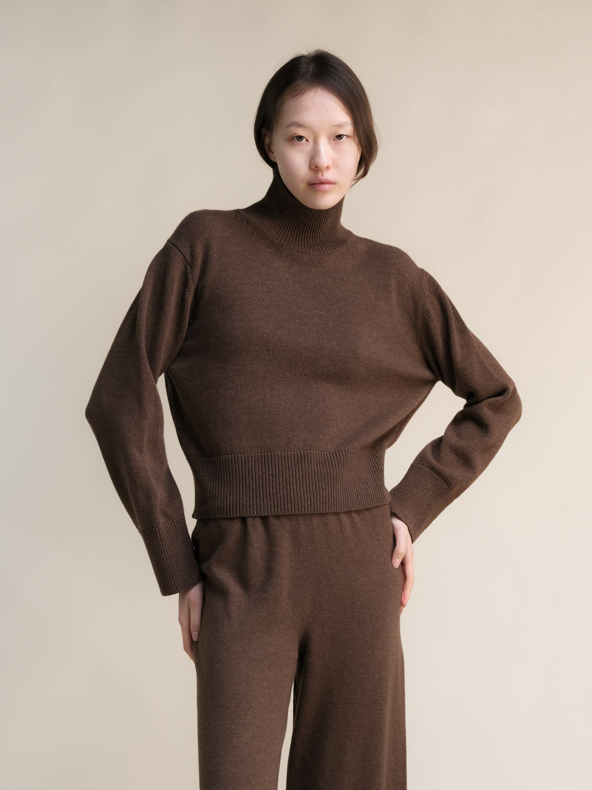 Cashmere High Neck Sweater